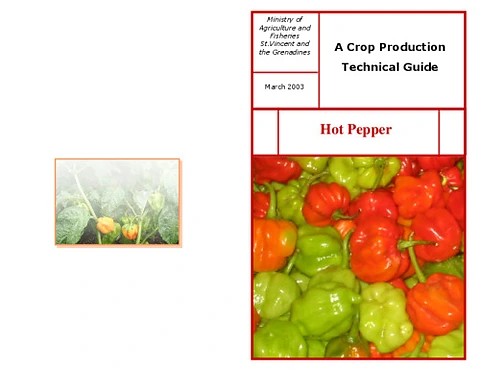 Hot Pepper Production