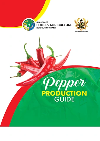 Pepper Production Guide