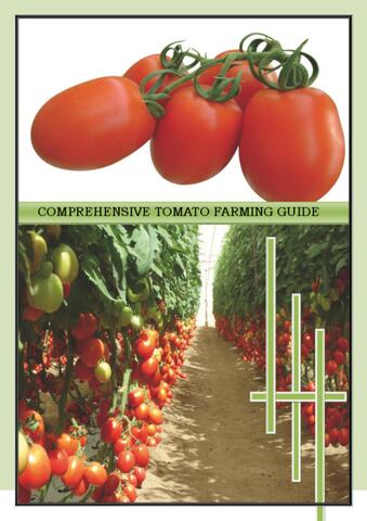 Tomato Farming Guide